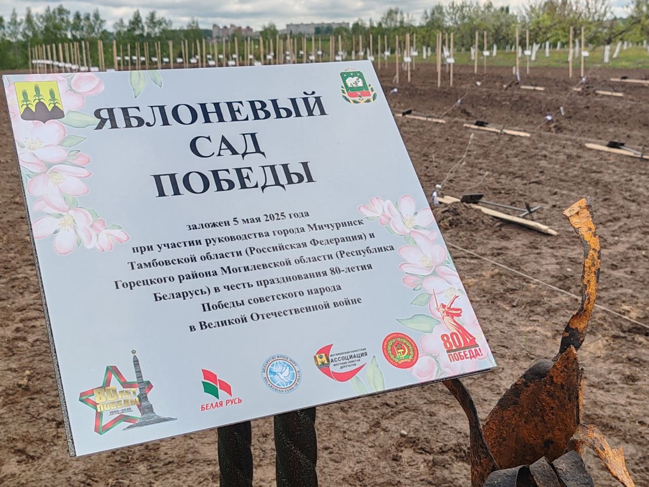 Мичуринские яблони будут цвести на белорусской земле.
