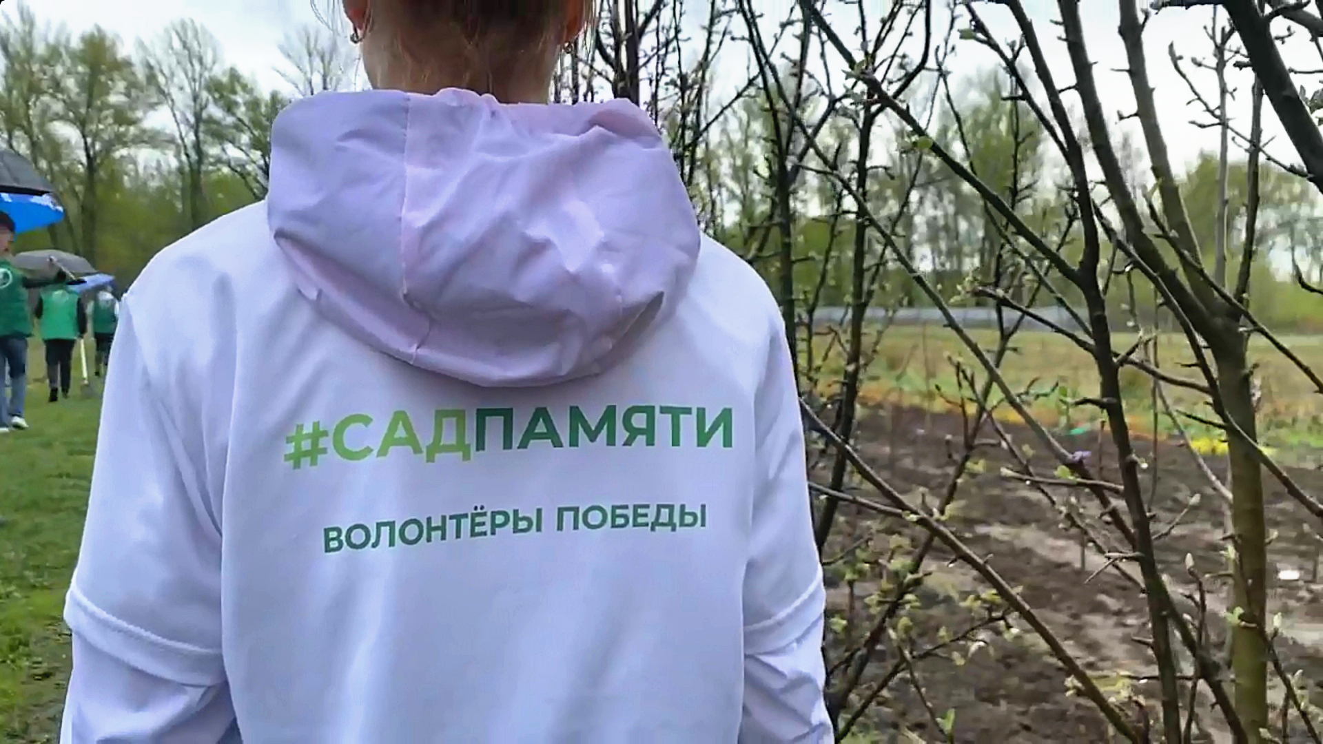 Мичуринск присоединился к международной акции «Сад Дружбы» ⁣.
