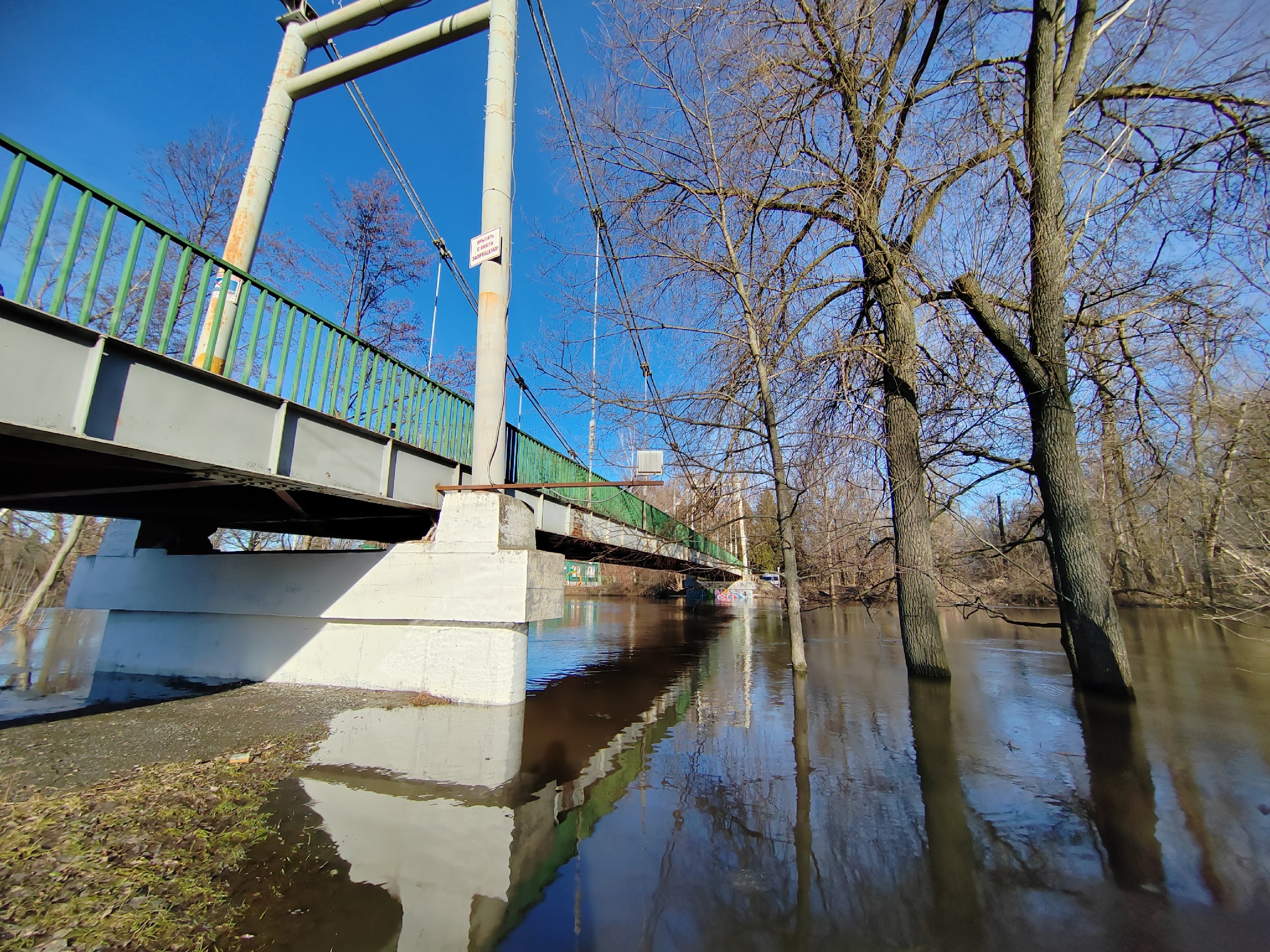 Уровень воды в реке Лесной Воронеж снижается.