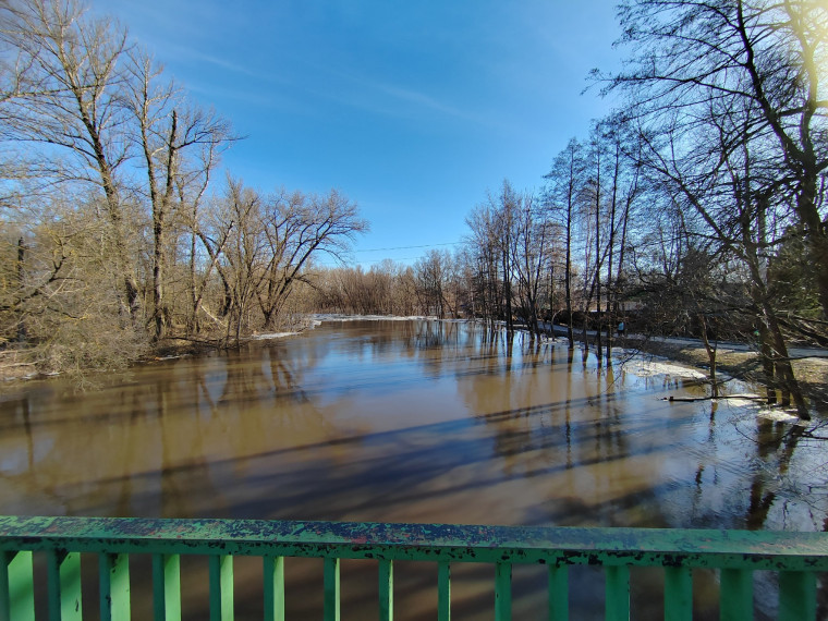 Уровень воды в реке Лесной Воронеж снижается.
