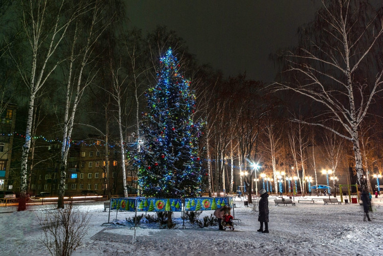 В Мичуринске определили победителей фотоконкурса «Зимний город».